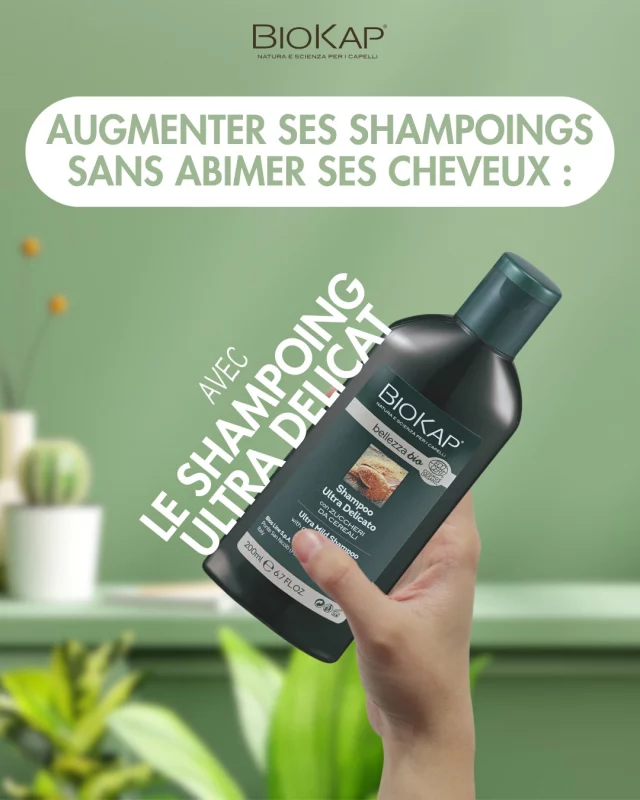 ☀️ L’été, nos cheveux vivent leur meilleure vie… mais aussi les plus rudes épreuves !
Entre la chaleur, la transpiration, la mer ou la piscine, les shampoings se multiplient. 💦🌊

Bonne nouvelle : avec le shampoing ultra délicat BioKap, aucun stress.
Sa formule douce, sans sulfates agressifs, respecte l’équilibre du cuir chevelu et convient à une utilisation fréquente, même quotidienne. 🫧✨

🌿 À base d’aloe vera bio, de protéines végétales et d’extraits naturels, il nettoie sans agresser et laisse les cheveux légers, souples et brillants.
👨‍👩‍👧 Convient à toute la famille, dès 3 ans !

💡 Parfait pour l’été : vous pouvez adapter votre routine capillaire à votre rythme de vie sans compromis sur la santé de vos cheveux.

💬 Et vous, vous êtes plutôt team 1 shampooing par semaine ou tous les jours en été ?

#BioKap #ShampooingNaturel #UltraDélicat #RoutineÉté #CheveuxSains #SoinNaturel #SummerHairCare #FamilyFriendly #CleanBeauty